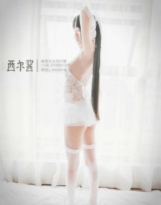 警犬之再上征程全集免费观看_4K手机免费观看完整